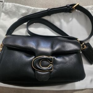 Coach pillow tabby 26